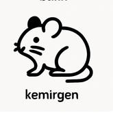 Kemirgen