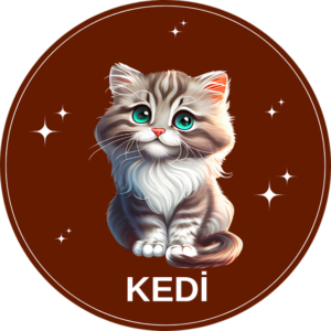Kedi