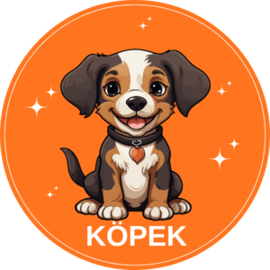 Köpek