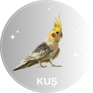Kuş
